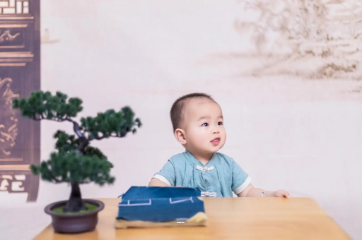 铁岭宝宝抓周必备8件物品 铁岭宝宝抓周必备8件物品